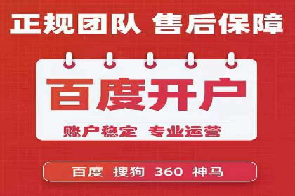 解析某某SEM服务公司的广告投放策略与效果评估